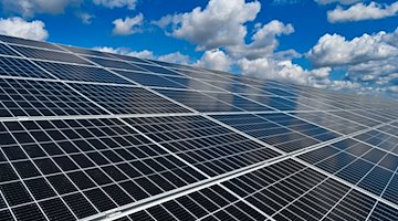 Un parque solar bajo un cielo nublado / Foto: Patrick Pleul/dpa-Zentralbild/dpa/Imagen simbólica