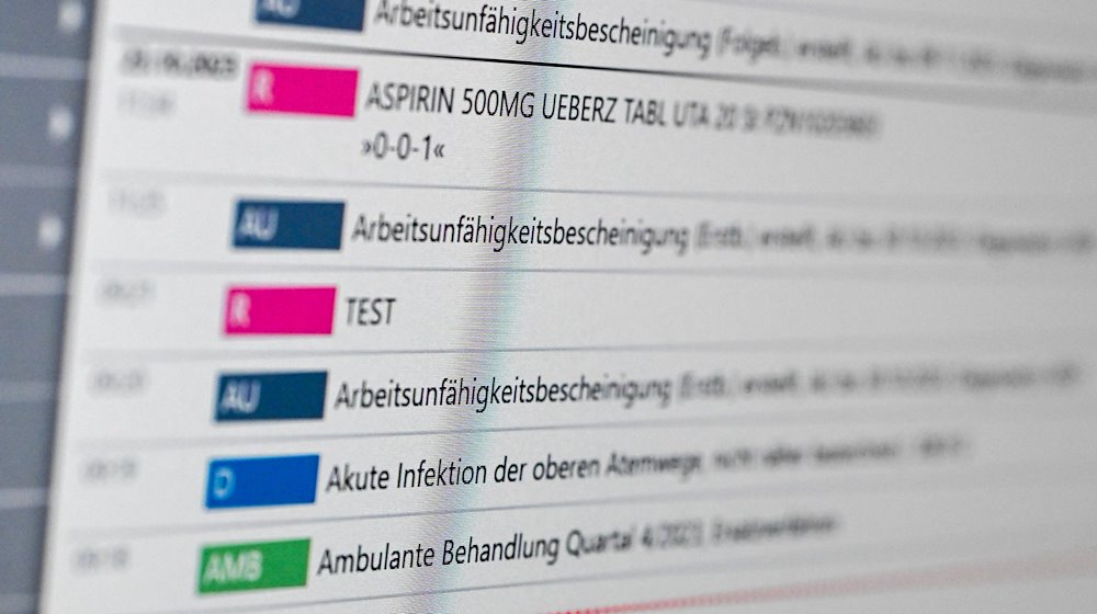 An electronic patient file (ePA) is displayed on a screen in the e-health show practice of the Berlin Association of Statutory Health Insurance Physicians. / Photo: Jens Kalaene/dpa/Archive image