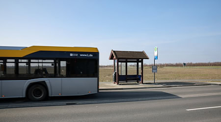 Following the introduction of the Deutschlandticket, public transport companies are hoping for an expansion of services. (Archive image) / Photo: Jan Woitas/dpa