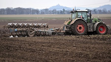 La política agrícola de la UE debe someterse a escrutinio: es lo que piden los jefes de Gobierno del Este / Foto: Martin Schutt/dpa-Zentralbild/dpa