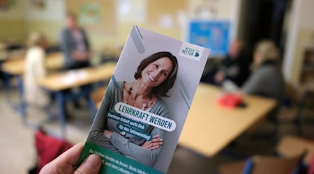 According to the AfD, too many teachers are employed in administration, although they are urgently needed in the classroom (archive photo).  / Photo: Sebastian Willnow/dpa