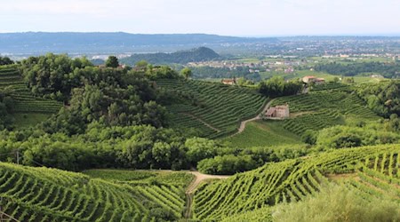 Roadtrip durch Friaul-Julisch Venetien: Wo Italien stiller, echter und überraschender ist
