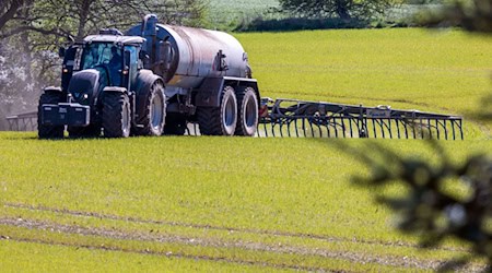 Elevated nitrate levels in groundwater are often caused by liquid manure. (Archive image) / Photo: Jens Büttner/dpa